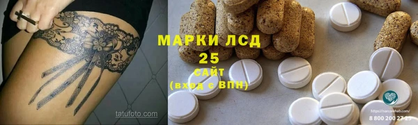 шишки Абаза