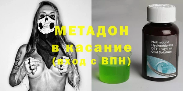 шишки Абаза