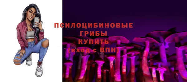 шишки Абаза