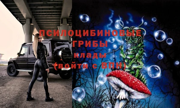 дурь Алексин