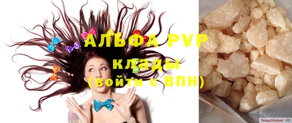 шишки Абаза