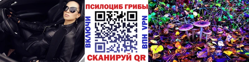 Галлюциногенные грибы прущие грибы  ОМГ ОМГ как зайти  Снежногорск  где купить наркотик 
